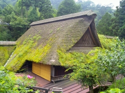 Thatched roof house near Mount Mitake