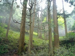 Between Mount Mitake and Mount Ōtake